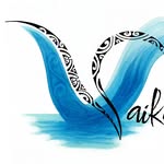 Logo de Vaikava Store